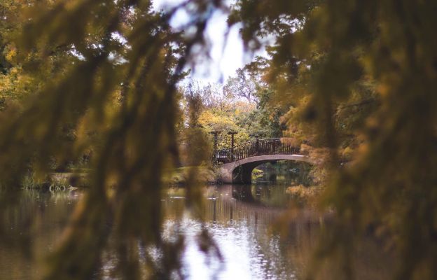 fall bridge at the bartlett arboretum in belle plaine near wichita, kansas